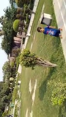 Enjoying in park