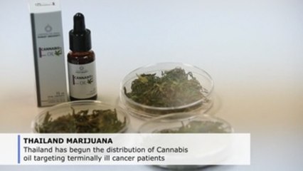 Thailand starts distribution of medical marihuana to cancer patients