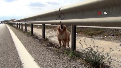 Takla atan otomobil su kanalına devrildi: 2 yaralı