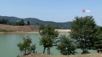 Kornişon üretimindeki artış Sındırgılı çiftçiyi sevindirdi