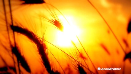 July 2019 is the hottest month worldwide on record