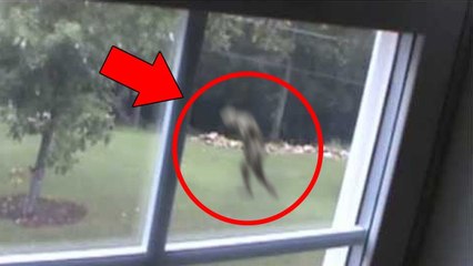 5 Mysterious Creatures Caught on Tape : Top 5 STRANGE Creatures