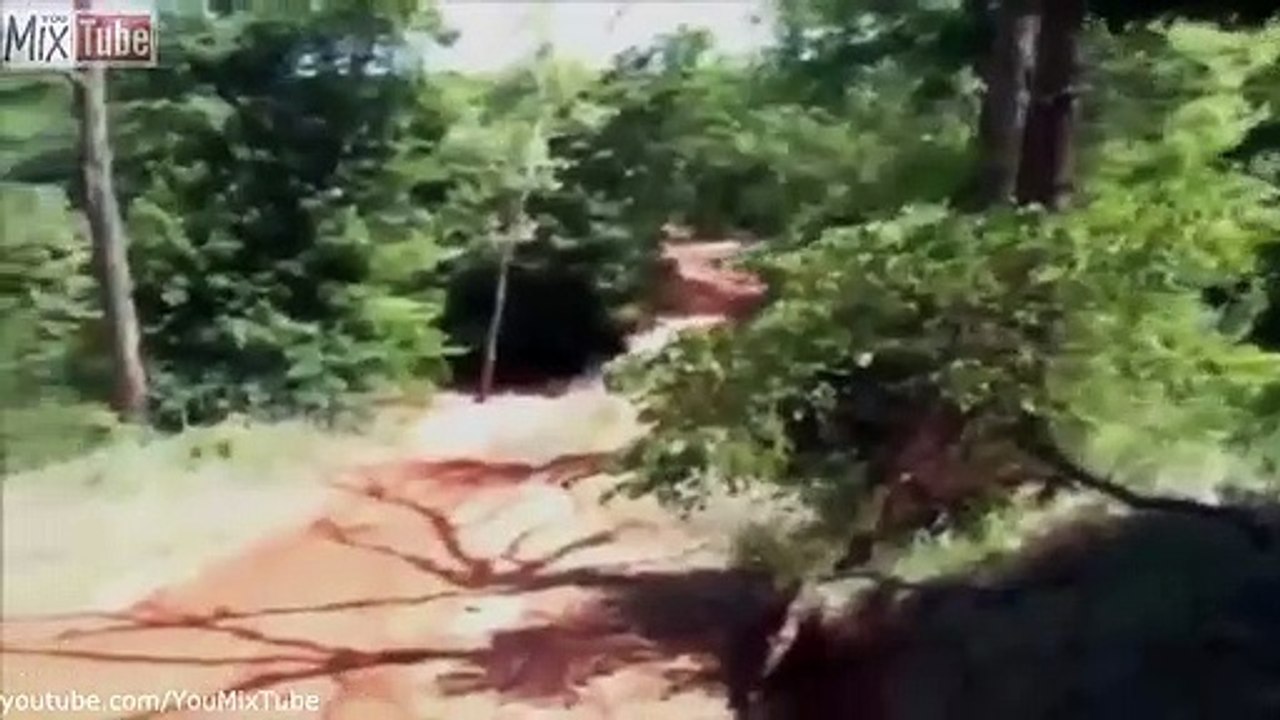 Stupid Biker  Motorbike FAILS Compilation - Motorcycle & Motocross Epic Win 2019