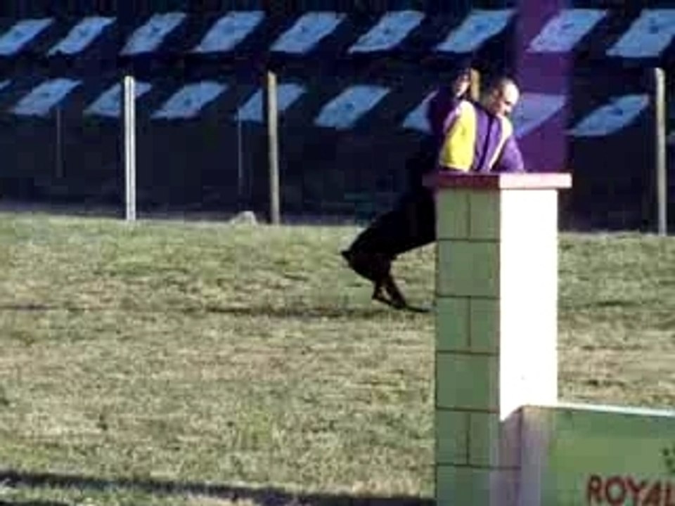 Shaft mondio Fuyante