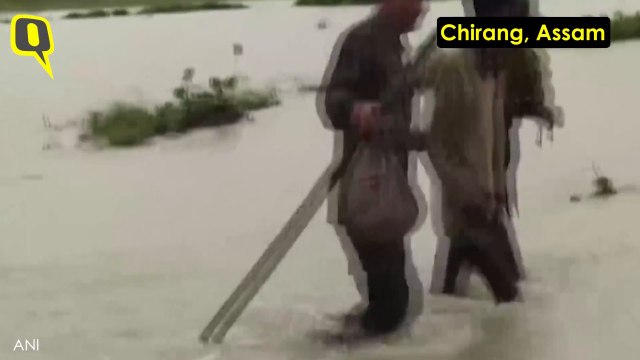 Assam Flood Video