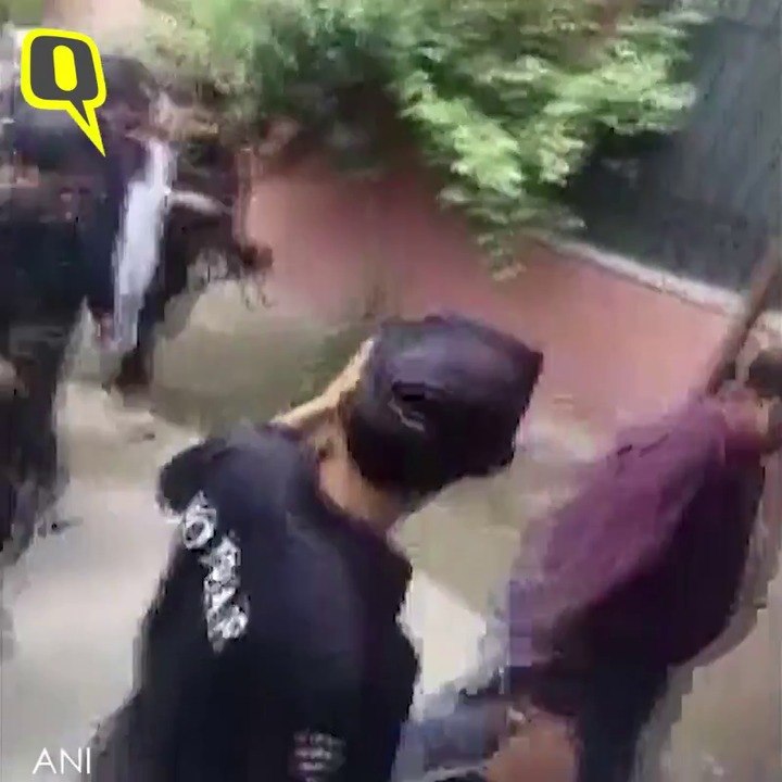 Hafeez Saeed