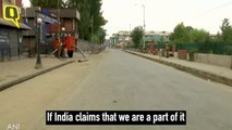 'Fresh Rumours Torture Us Everyday': Kashmiri Locals on Article 370