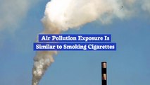 Air Pollution Will Destroy Your Lungs