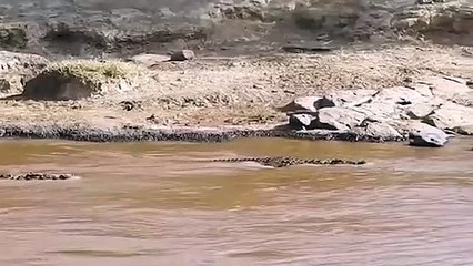 과천출장안마 -후불100%ョO7OW5222W6739｛카톡ZF66｝ 과천전지역출장안마 과천오피걸 과천출장마사지 과천출장안마 과천출장마사지 과천콜걸샵안마 과천출장아로마 과천출장안마후기∏⾭∗과천출장샵