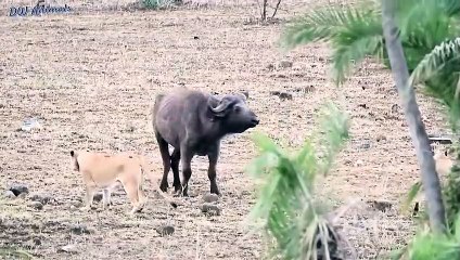 화순출장안마 -후불100%ョØ7ØE7575E0062｛카톡DK654｝ 화순전지역출장안마 화순오피걸 화순출장마사지 화순출장안마 화순출장마사지 화순콜걸샵안마 화순출장아로마 화순출장안마후기ゅ◓に화순출장풀코스예약