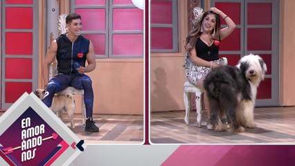 ¡Flechada vino DESDE CANADÁ por Robbie! | Enamorándonos