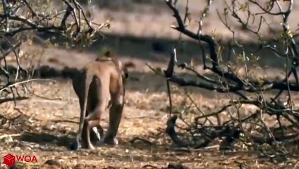 성서출장안마 -후불100%ョØ7ØM7575M0054｛카톡USA16｝ 성서전지역출장안마 성서오피걸 성서출장마사지 성서출장안마 성서출장마사지 성서콜걸샵안마 성서출장아로마 성서출장안마후기㌗◡≭성서출장풀코스예약