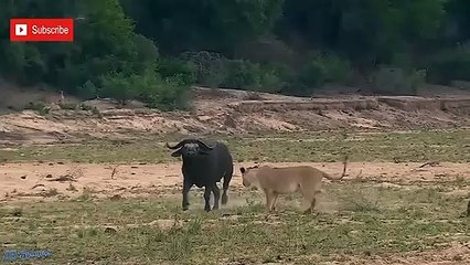 권선출장안마 -후불100%ョØ7ØM7575M0054｛카톡OYO78｝ 권선전지역출장안마 권선오피걸 권선출장마사지 권선출장안마 권선출장마사지 권선콜걸샵안마 권선출장아로마 권선출장안마후기∬⻒け권선출장샵마사지