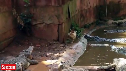 아산출장안마 -후불100%ョØ7ØE7575E0069｛카톡RD654｝ 아산전지역출장안마 아산오피걸 아산출장마사지 아산출장안마 아산출장마사지 아산콜걸샵안마 아산출장아로마 아산출장안마후기∘㌴◍아산출장샵