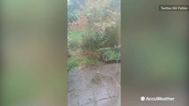 Garden threatened by onslaught of hail