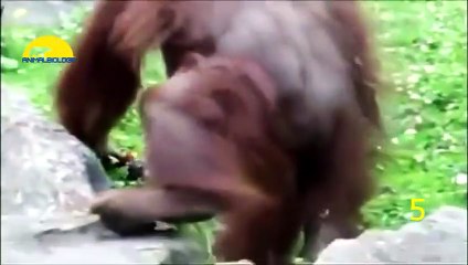 건대역출장안마 -후불100%ョOiOE7685E6221｛카톡USA51｝ 건대역전지역출장안마 건대역오피걸 건대역출장마사지 건대역출장안마 건대역출장마사지 건대역콜걸샵안마 건대역출장아로마 건대역출장안마후기⻫≽づ건대역출장샵마사지