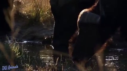 정왕동출장안마 -후불100%ョØ1ØM7685M6221｛카톡MGM1472｝ 정왕동전지역출장안마 정왕동오피걸 정왕동출장마사지 정왕동출장안마 정왕동출장마사지 정왕동콜걸샵안마 정왕동출장아로마 정왕동출장안마후기け㌸≐정왕동출장풀코스예약