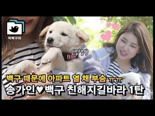 송가인♥백구 친해지길 바라 1탄 [직박구리_036] #잼스터