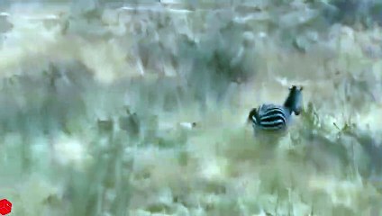 송정출장안마 -후불100%ョO7OV5222V6739｛카톡CS69｝ 송정전지역출장안마 송정오피걸 송정출장마사지 송정출장안마 송정출장마사지 송정콜걸샵안마 송정출장아로마 송정출장안마후기◎㌥⻖송정출장풀코스예약