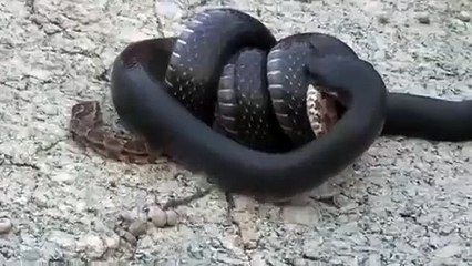 동성로출장안마 -후불100%ョOiOV2671V8135｛카톡ZHF526｝ 동성로전지역출장안마 동성로오피걸 동성로출장마사지 동성로출장안마 동성로출장마사지 동성로콜걸샵안마 동성로출장아로마 동성로출장안마후기≵㌶㍕동성로출장풀코스예약