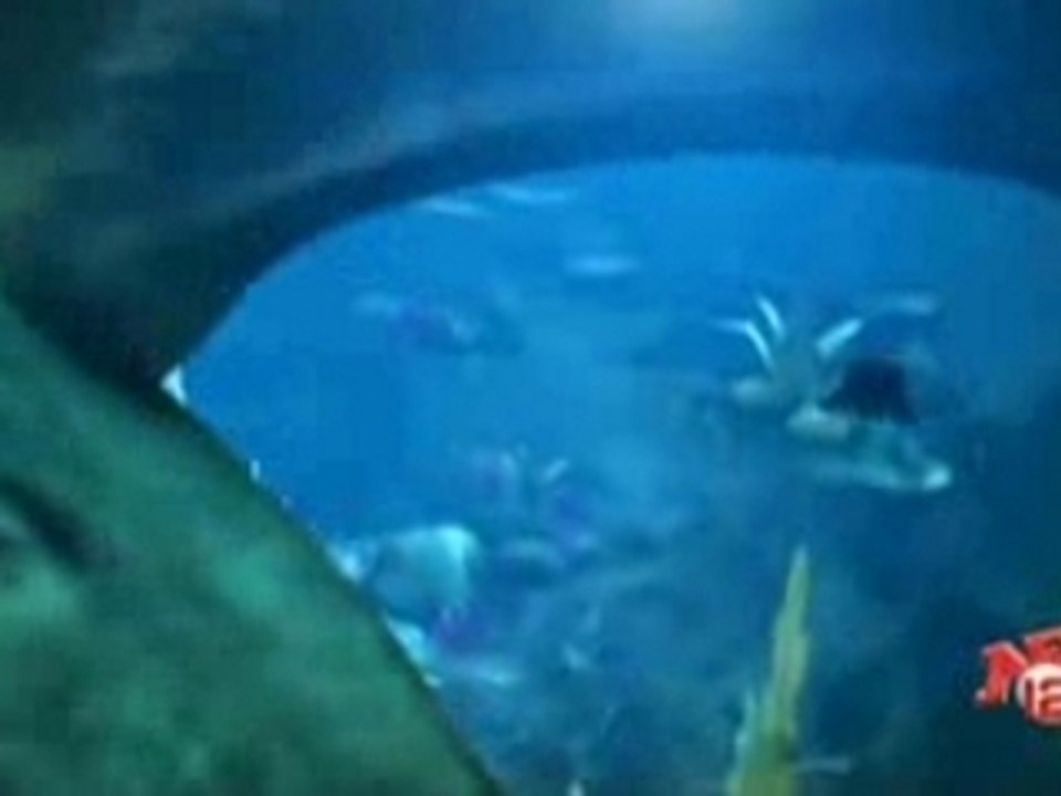 Club Crazy Frog - Pop corn (NRJ-DVB 16x9 by Jiule)