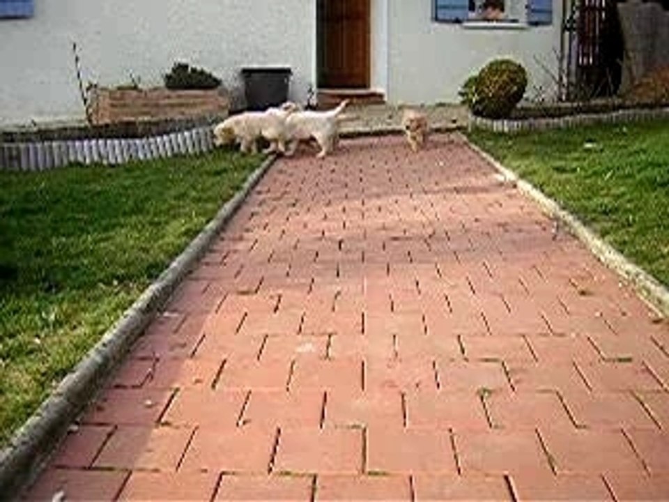 DSCN5216