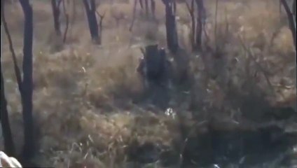 보은출장안마 -후불100%ョOiOV2671V8135｛카톡ZHF526｝ 보은전지역출장안마 보은오피걸 보은출장마사지 보은출장안마 보은출장마사지 보은콜걸샵안마 보은출장아로마 보은출장안마후기ぃ≡㍗보은출장풀코스예약