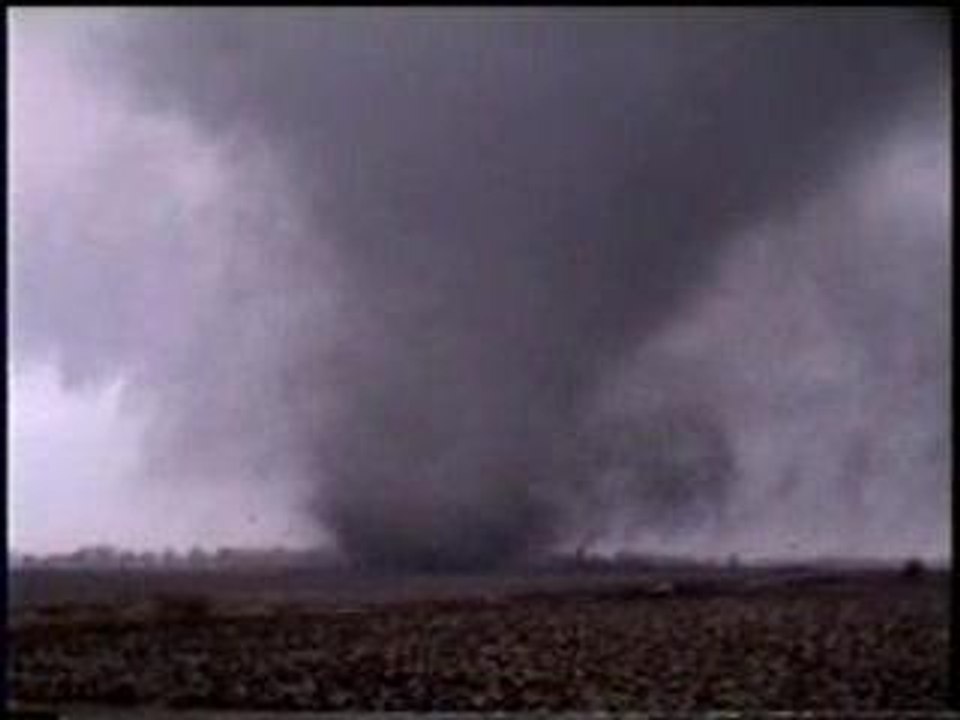 Twister