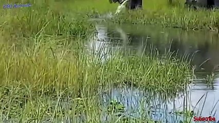 정왕동출장안마 -후불100%ョOiOE7685E6221｛카톡LTE16｝ 정왕동전지역출장안마 정왕동오피걸 정왕동출장마사지 정왕동출장안마 정왕동출장마사지 정왕동콜걸샵안마 정왕동출장아로마 정왕동출장안마후기◜≽⊌정왕동출장풀코스예약