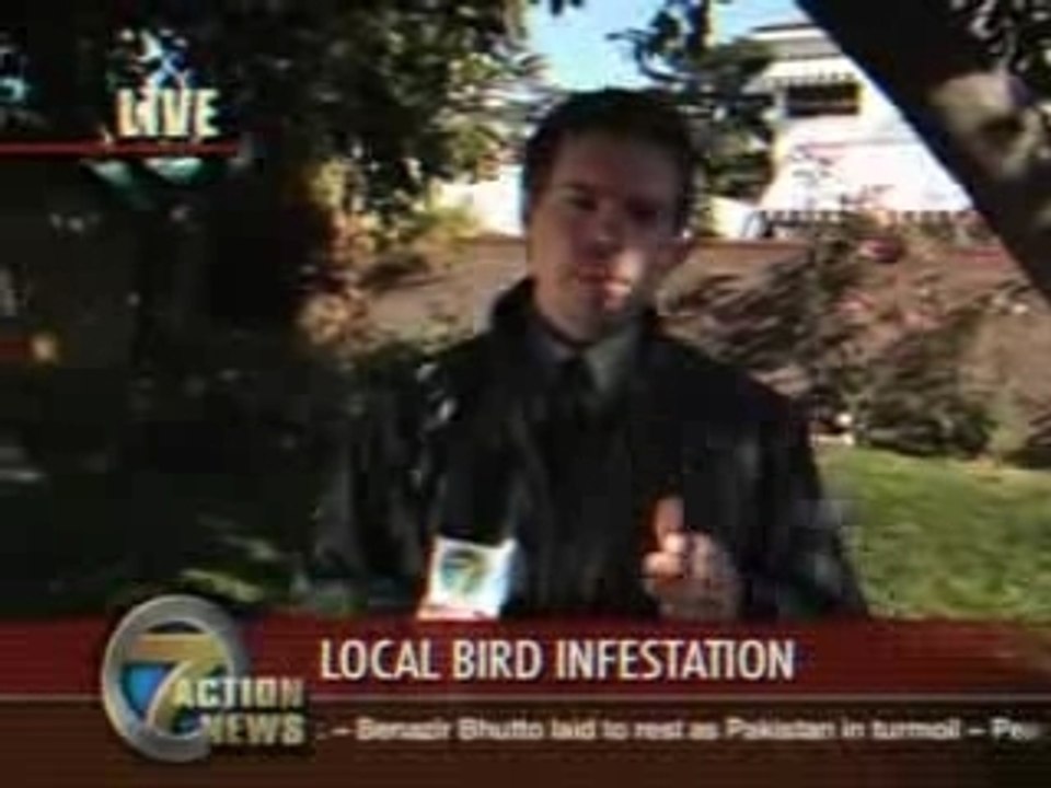 Oiseau-fiente-bouche