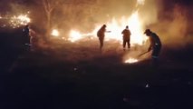 Los incendios forestales arrasan medio millón de hectáreas en Bolivia