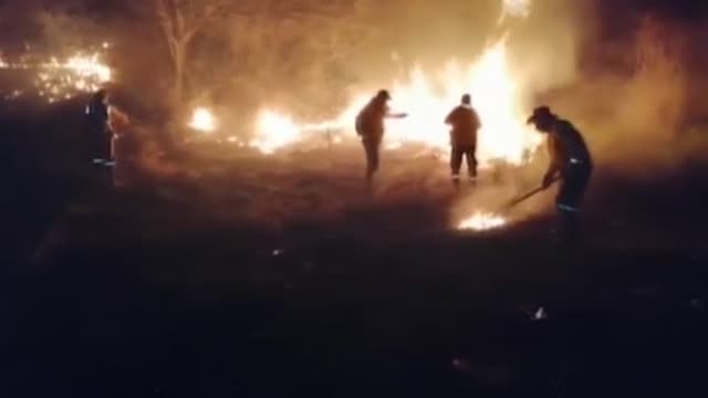 Los incendios forestales arrasan medio millón de hectáreas en Bolivia