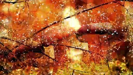 #TusNoticiasEltiempoHoy AEMET Miércoles 21 de Agosto de 2019