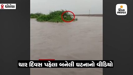 ધોલેરા: પાણીમાં તણાયેલ યુવક આખી રાત ઝાડની ડાળખી પકડીને ટીંગાઇ રહ્યો, લોકોએ બચાવ્યો
