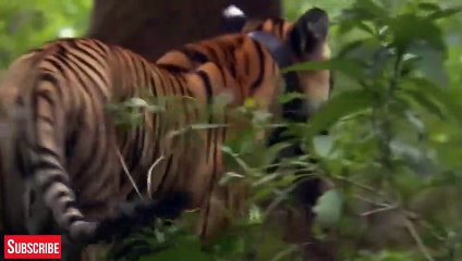 담양출장안마 -후불100%ョOiOE7685E6221｛카톡PP888｝ 담양전지역출장안마 담양오피걸 담양출장마사지 담양출장안마 담양출장마사지 담양콜걸샵안마 담양출장아로마 담양출장안마후기≂⾭⻕담양출장샵마사지