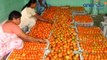 Tomato Price Fall : தக்காளி விலை கடும் வீழ்ச்சி.. கிலோ ரூபாய் 12-க்கு விற்பனை- வீடியோ