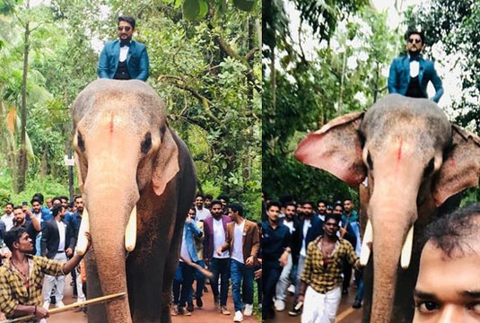 കോഴിക്കോട്ടെ ഈ യുവാവിന് കിട്ടിയത് മുട്ടന്‍ പണി | Oneindia Malayalam