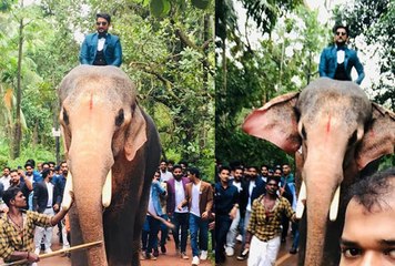 കോഴിക്കോട്ടെ  ഈ യുവാവിന് കിട്ടിയത്  മുട്ടന്‍ പണി | Oneindia Malayalam