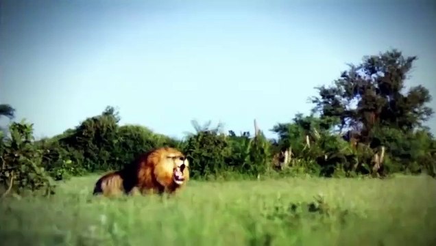 동작출장안마 -후불100%ョO7OV7333V9649｛카톡LA666｝ 동작전지역출장안마 동작오피걸 동작출장마사지 동작출장안마 동작출장마사지 동작콜걸샵안마 동작출장아로마 동작출장안마후기⻡⾼⊅동작출장샵마사지