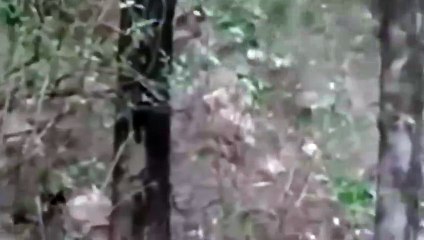 동구출장안마 -후불100%ョØ7ØM7575M0069｛카톡CC6969｝ 동구전지역출장안마 동구오피걸 동구출장마사지 동구출장안마 동구출장마사지 동구콜걸샵안마 동구출장아로마 동구출장안마후기∾㍑⻕동구출장샵마사지