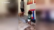 Ce bébé n'arrête pas de marquer des dunks en basketball !