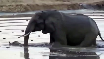 장유출장안마 -후불100%ョØ7ØM7575M0054｛카톡OYO78｝ 장유전지역출장안마 장유오피걸 장유출장마사지 장유출장안마 장유출장마사지 장유콜걸샵안마 장유출장아로마 장유출장안마후기せ∿◨장유출장샵