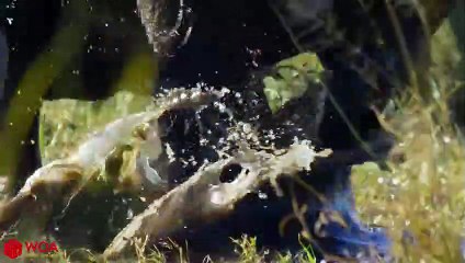 영등포출장안마 -후불100%ョØ7ØM7575M0069｛카톡CC6969｝ 영등포전지역출장안마 영등포오피걸 영등포출장마사지 영등포출장안마 영등포출장마사지 영등포콜걸샵안마 영등포출장아로마 영등포출장안마후기≹◖≫영등포출장샵마사지