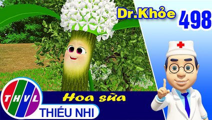 THVL | Dr. Khỏe - Tập 498: Hoa sữa - Phần 2