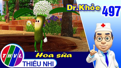 THVL | Dr. Khỏe - Tập 497: Hoa sữa - Phần 1