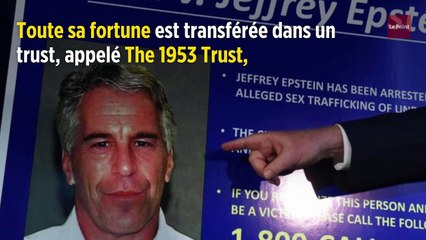 Le mystérieux testament de Jeffrey Epstein
