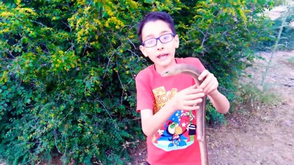 "YouTube'da hayvan videoları çeken çocuk:" Binden az kullanıcıdan 90 bine