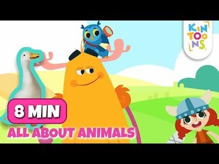 Download Video: Animal Sounds Song - Old MacDonald + Lots More | Nursery Rhymes & Baby Songs Collection | KinToons