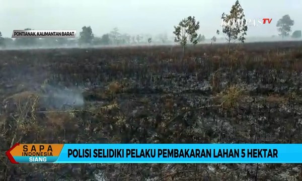 Polisi Selidiki Pelaku Pembakaran Lahan 5 Hektar di Pontianak
