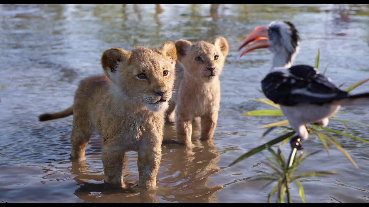 Le Roi Lion - Musique Je voudrais déjà être roi [VF|HD1080p]